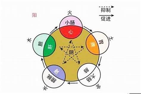 一字五行属什么|一字的五行属性